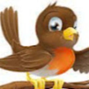 Meet your Posher, Robin